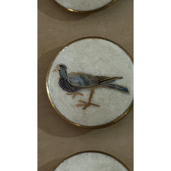 Vintage Set Of 12 Satsuma Buttons On The Original Card - Picture 2 of 6